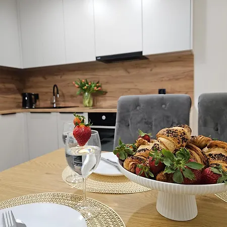 Apartment Riverside Premium In City Centre Olsztyn (Warmian-Masurian)